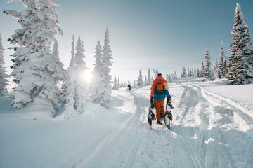 Snowboarder walking with a snowboard in the winter forest. Ski touring in the snowy mountains on a...