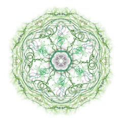 Graceful geometric circular pattern on a white background.