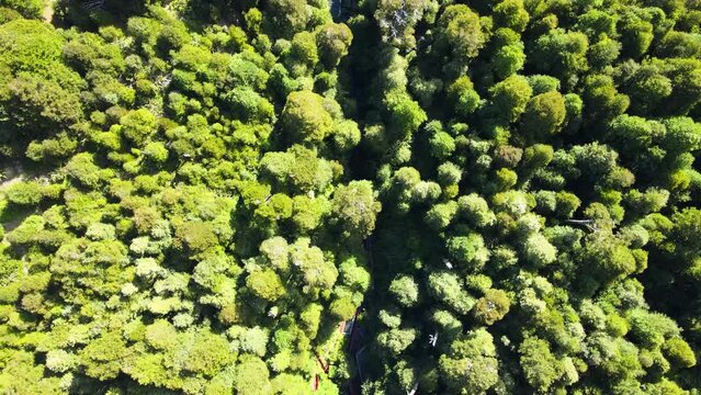 Aerial dolly in over Termas Geometricas hot spring complex, hidden in ravine surrounded by rain forest, Co&ntilde;aripe, Chile