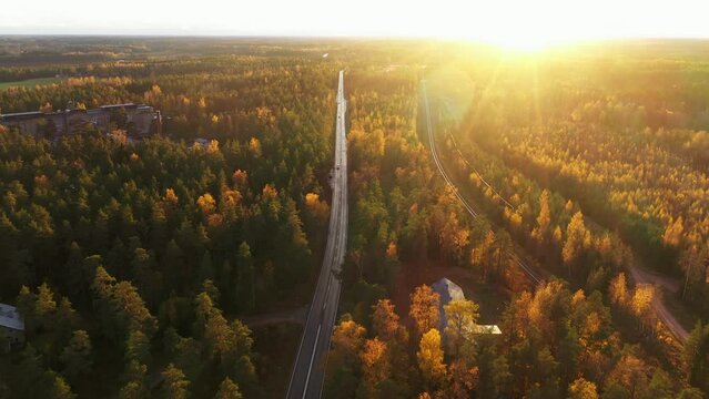 Aerial drone view of traffic on a road in middle of foliage forest, sunny fall evening in Scandinavia