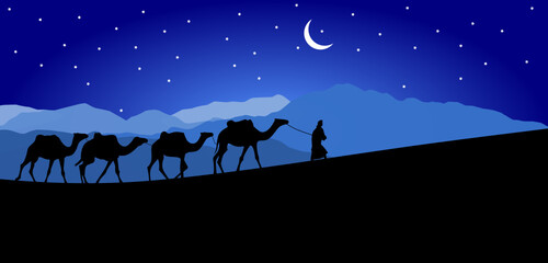 Naklejka na ściany i meble camel silhouette background at night