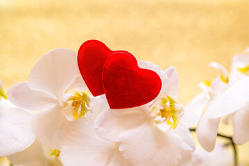 Symbol of love and a white Orchid on a gold background
