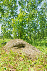 A large ancient sacred boulder stone, Sledovik, covered with lichen in a birch forest in the Orel region, Russia