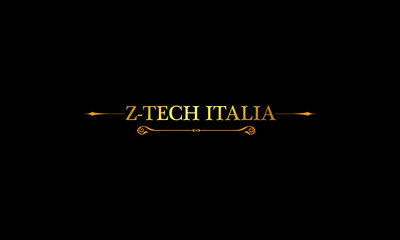 Z Letter Logo