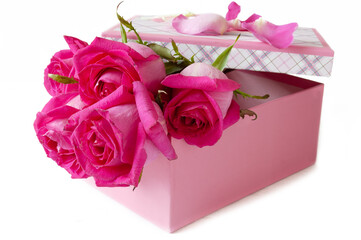 Pink rose bouquet in gift box isolated on white background, Festive mockup for greetings