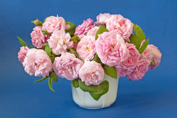 Beautiful fresh pink roses bunch on blue background, still life