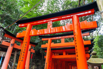 Impression of the many Torii of the Fushimi Inari Shrine in Kyoto, Japan.