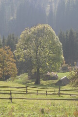 landscape in the mountains