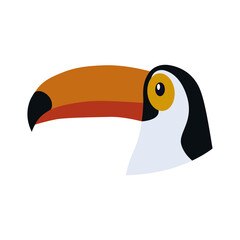 The head of a toucan bird. Tropical bird is a family of birds, the order woodpeckers. Vector illustration isolated on a white background for design and web.