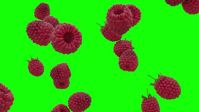 Raspberries Falling On Green Screen With Alpha Matte