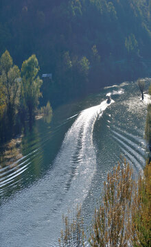 Boat with tourists is on early morning journey on mountains river, lake surrounded by old mountains' forest. Sun light reflection on waves trace. Kader lake national park, Montenegro