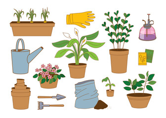 set of tools and plants for home gardening