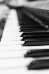 Piano keys closeup. Musical instrument in black and white photo.