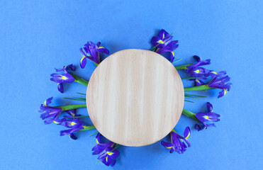 Top view of spring fresh iris flowers and round wooden frame on blue backdrop. Background for...