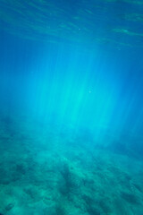 Fototapeta na wymiar View of underwater sea with sunlight shining through surface
