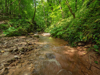 Obraz premium Caucasus Mountains, Adygea. Rapids and waterfalls on the mountain river Aminovka.