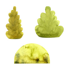 Wtercolor three green bushes isolated. Hand draw illustrations. - 485996095