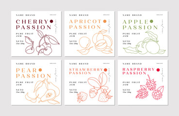 Fototapeta na wymiar Vector illustration set of design labels with apple, apricot, pear, strawberry and raspberry, cherry fruits - simple linear style. Emblems composition with fruits and typography.