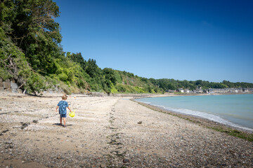 Rear view of boy walking on beach