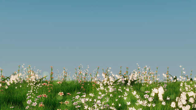 Spring Meadow with Long Grass, Wild Flowers and clear blue sky. Natural Wallpaper with space for copy.