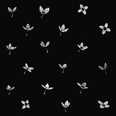 Fototapeta na wymiar quacker ladies flower set hand drawing vector illustration isolated on black background