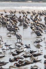 Fototapeta premium creative