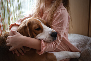 little cute girl hugs a beagle dog sitting on the windowsill