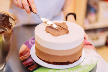 The pastry chef spreads chocolate cream on the cake. The cake consists of three layers of...