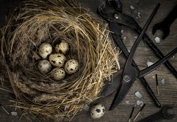 wicker nest with eggs metal tools shell matches