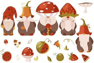 Set of illustrations with cute gnomes, mashrooms, leaves, glowers, watermallon