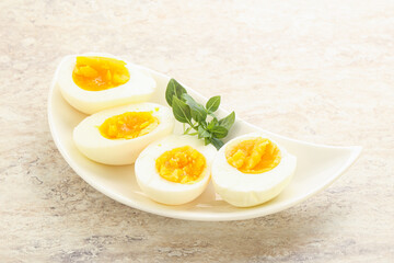 Boiled chicken egg for breakfast