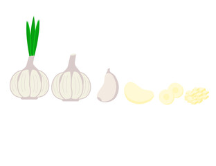 Set of vegetables and garlic.A whole, half and a piece.Traditional medicine. Herb concept.Spicy condiment.Sign, symbol, icon or logo isolated.Cartoon vector illustration.Flat design.Clipart.