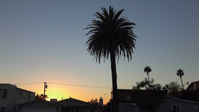 Sunset in California in slow motion 120fps
