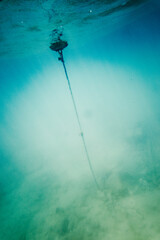 Rope of buoy underwater in sea