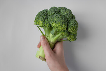 Woman's hand holding green bunch of broccoli isolated on white background. Raw food diet and vegetarian concept.Close up