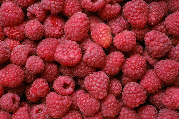 Juicy ripe raspberries background. Selective focus