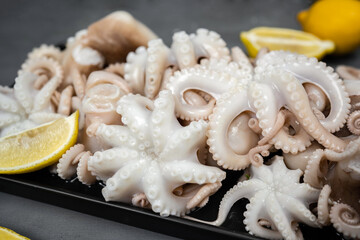 Boiled webfoot octopus dish decorated with lemon slices on gray concrete table.