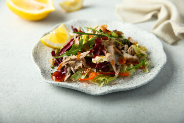 Healthy duck salad with vegetables