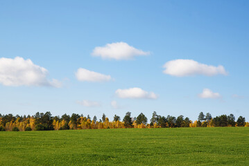 Fototapeta premium Beautiful autumn landscape. A blue sky with clouds, a field with green grass in the foreground and an autumn forest in the distance.