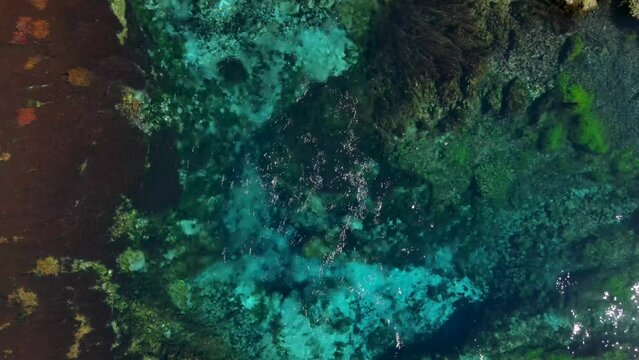 Amazing aerial of fresh water discharged from Pupu Spings, New Zealand. Largest springs known for clarity of water.