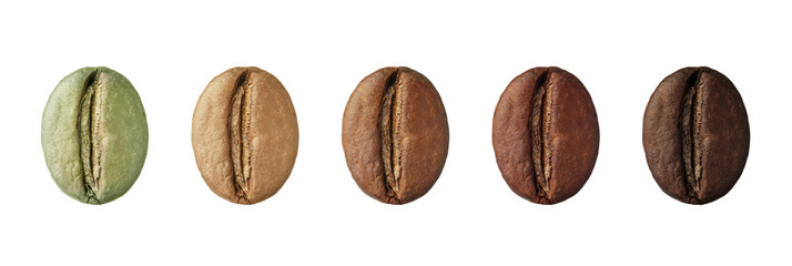 Stages of roasting coffee beans on white background, collage. Banner design