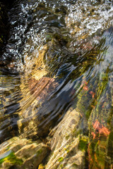 Flowing water in a stream