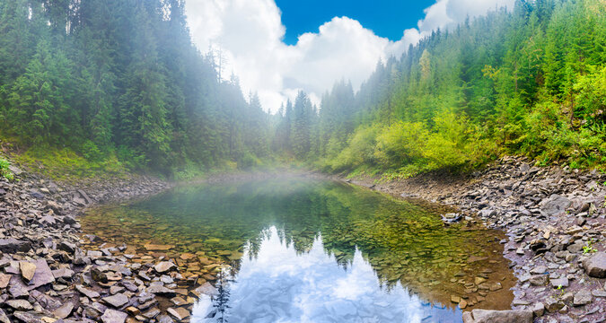 Forest misty blue lake panorama