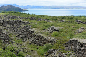 Fototapeta na wymiar Vegetagion auf Lavafeldern und der See Thingvallavatn im Nationalpark Thingvellir in Island