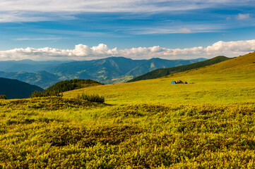 Group of trekkers hikers camping on grass meadow with view of Maramures ridge from Rodna Mountains, Muntii Rodnei National Park, Romania, Romanian Carpathian Mountains, Europe.