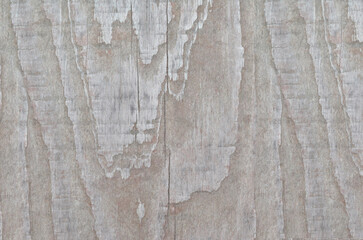 Wood texture. Lining boards wall. Wooden background. pattern. Showing growth rings