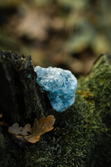 Raw crystal photography - Blue Celestine gemstone