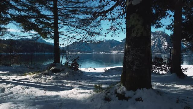 Lake Walchensee forest beach in Bavaria, south Germany in the scenic alps mountains close to Austria. Blue clear drinking water, waves at the white shore and blue sky in winter. 4K UHD drone aerial