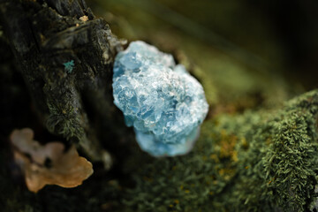 Raw crystal photography - Blue Celestine gemstone