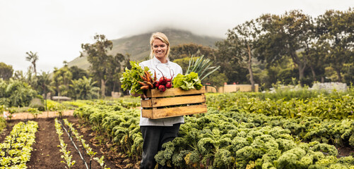 Carrying fresh vegetables from farm to table